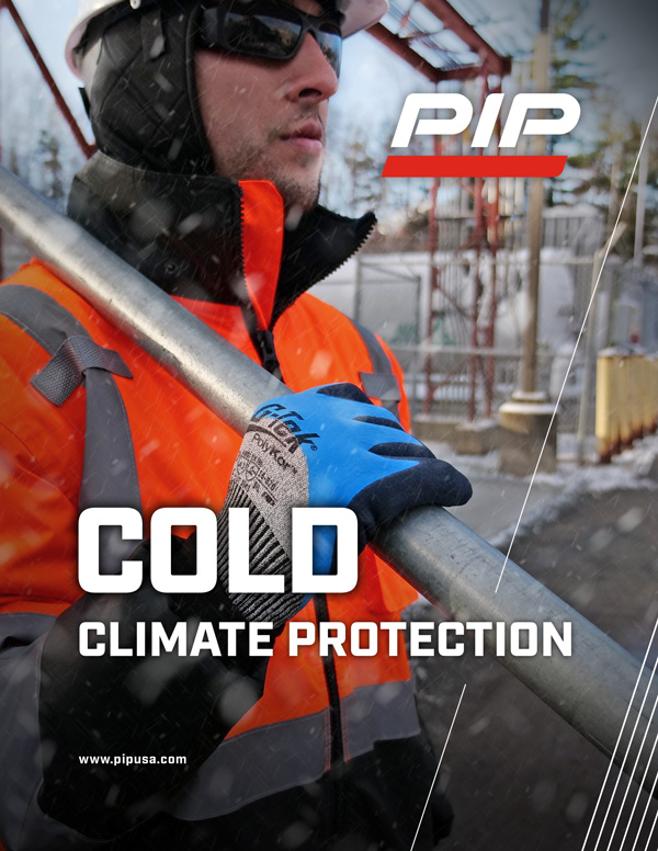 PIP Cold Climate Protection Brochure thumbnail